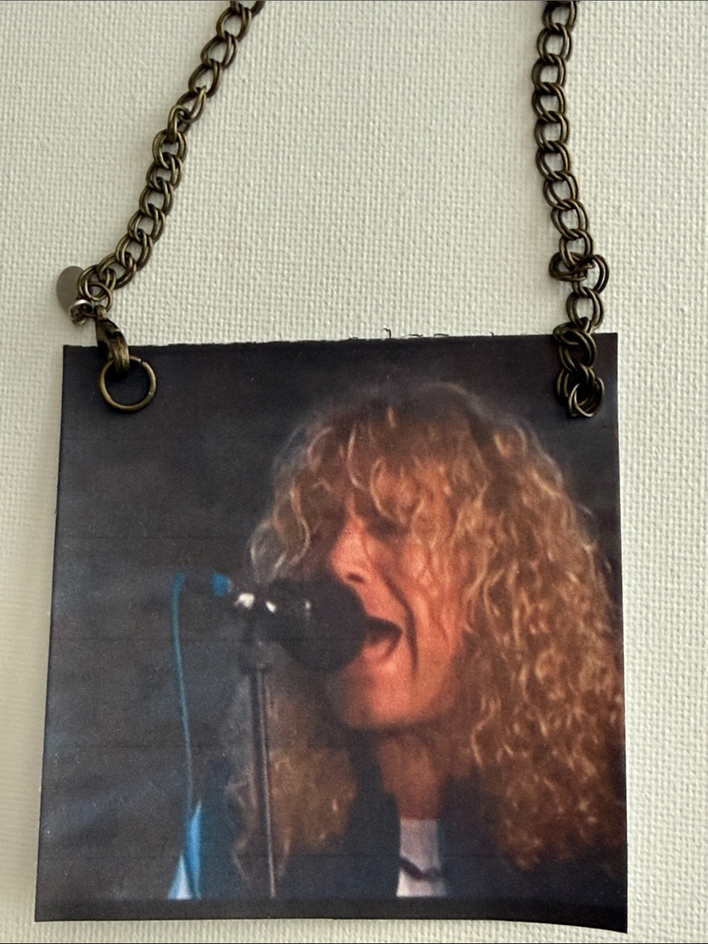 Robert Plant Ornament